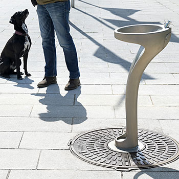 IONDESIGN Trinkwasserbrunnen Hund